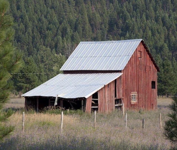 A rustic red barn with a silver metal roof stands in an open field surrounded by a wire fence. There are tall pine trees in the background and wildflowers in the foreground, creating a serene rural scene.